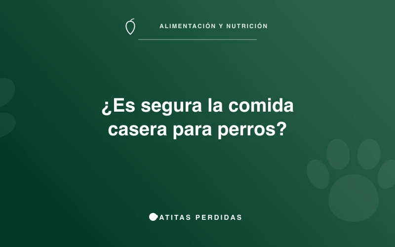 Perro comiendo junto a su dueño