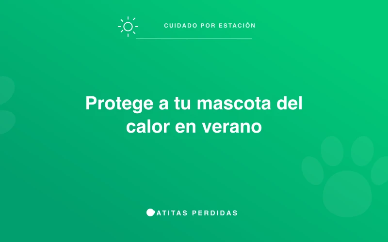 Mascota refrescándose en verano