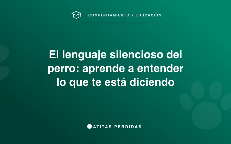 Perro mostrando señales de calma