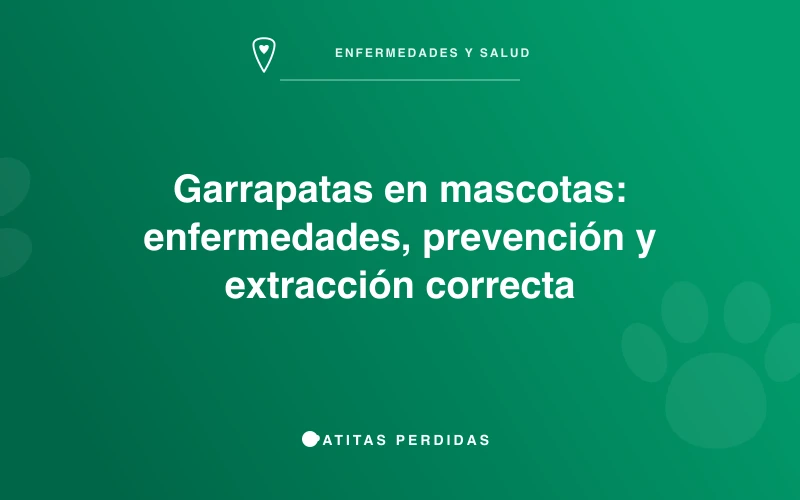 Veterinario revisando a un perro por garrapatas