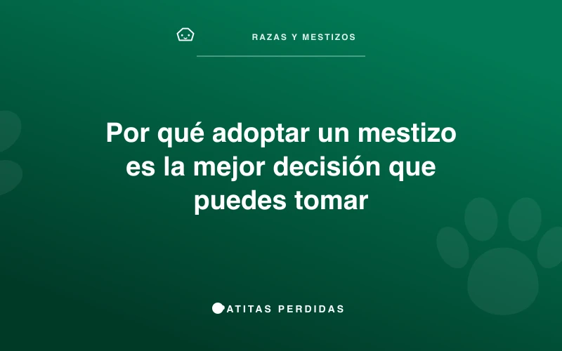 Perro mestizo feliz con su familia