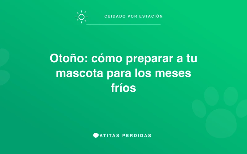 Perro paseando entre hojas de otoño
