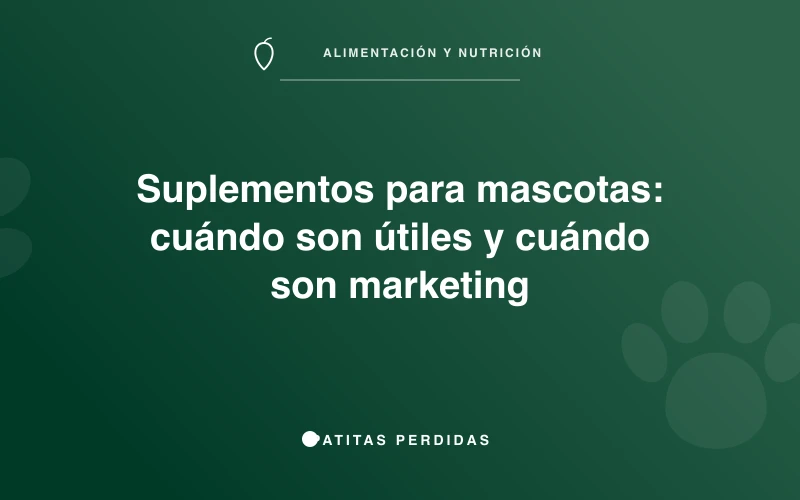 Pastillas y cápsulas de suplementos junto a un perro